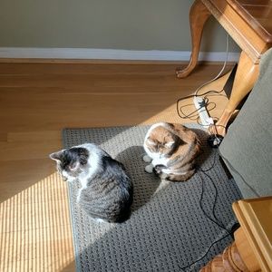 Meet your Posher, John